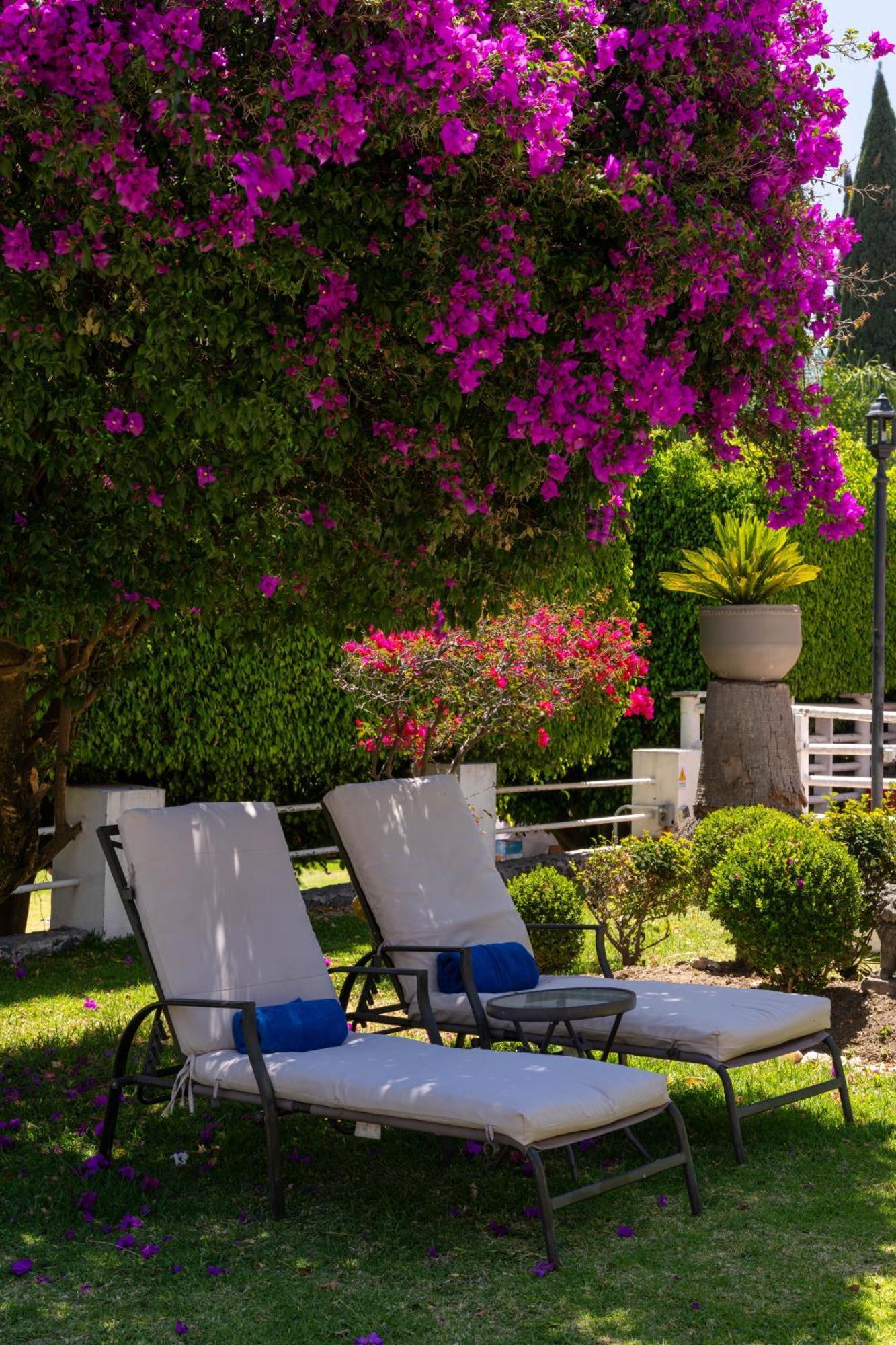 Rio Tinto Hotel Boutique Atlixco Luaran gambar